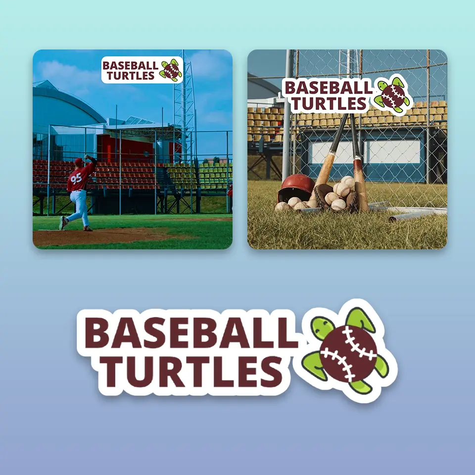 Baseball Turtles